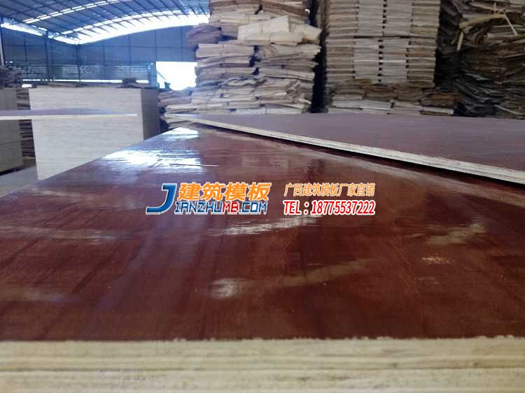 泰安木模板生产供应信息